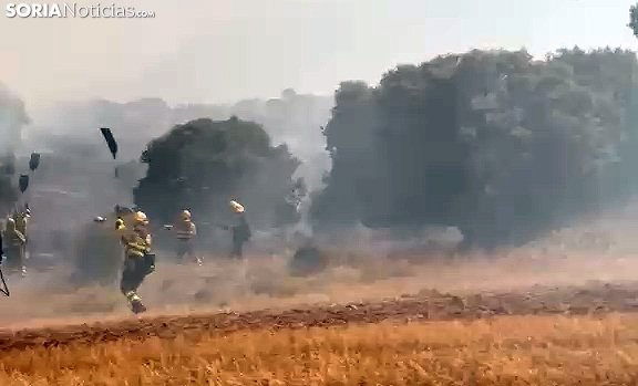 VIDEO | Controlado el incendio en Lumías que mantiene a 16 medios en la zona