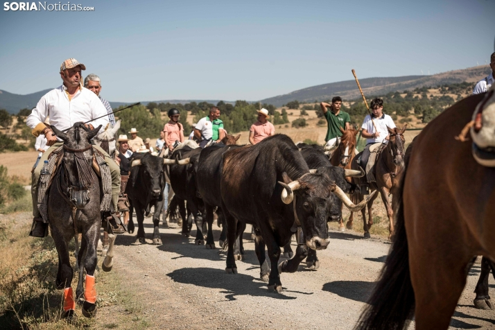 Gallinero revivirá sus tradiciones pastoriles en la V Jornada de la Trashumancia