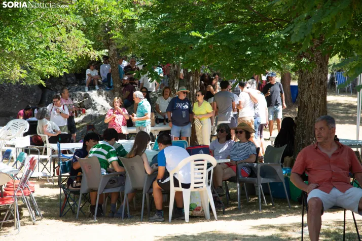 Romería de El Royo 2026