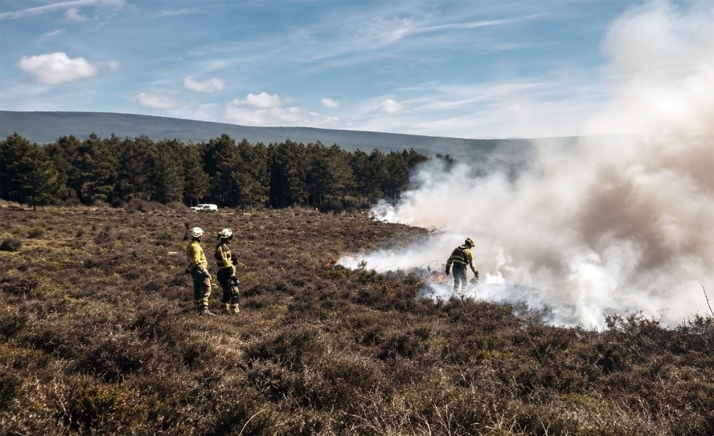 UGT defiende la vigilancia forestal humana tras el incendio de Tardelcuende