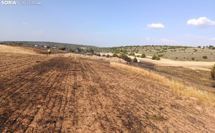 Controlados los incendios forestales declarados esta tarde