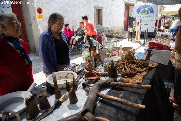 XXIII Mercado Tradicional Almarza 2026