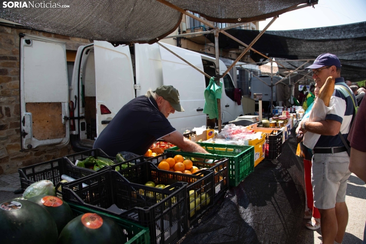 XXIII Mercado Tradicional Almarza 2026