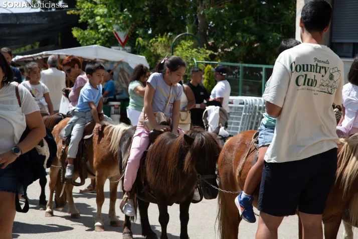 XXIII Mercado Tradicional Almarza 2026