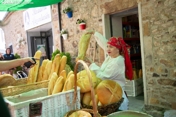 XXIII Mercado Tradicional Almarza 2026