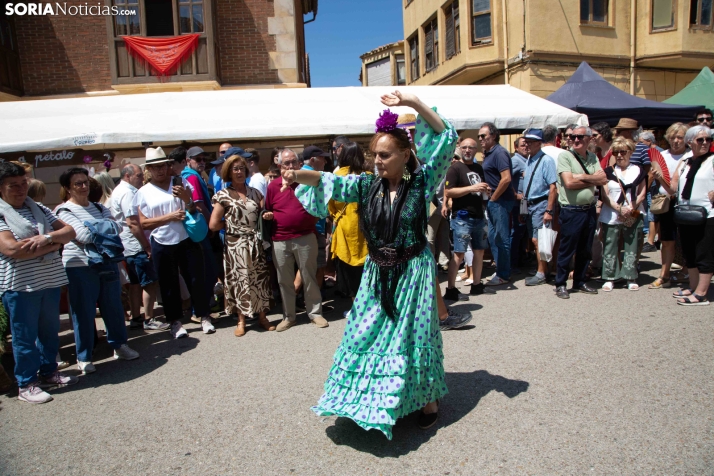 XXIII Mercado Tradicional Almarza 2026