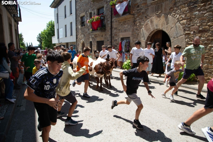 Cervekross, orquestas y yincana en Almarza: Programación para las Fiestas de la Juventud 2026