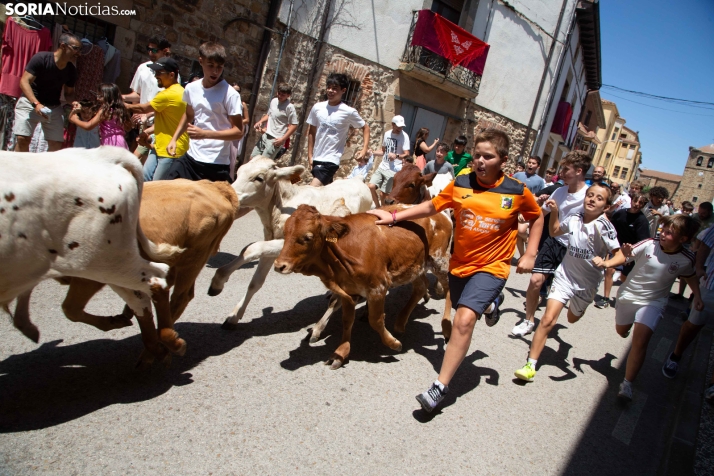 XXIII Mercado Tradicional Almarza 2026