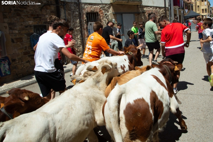 XXIII Mercado Tradicional Almarza 2026