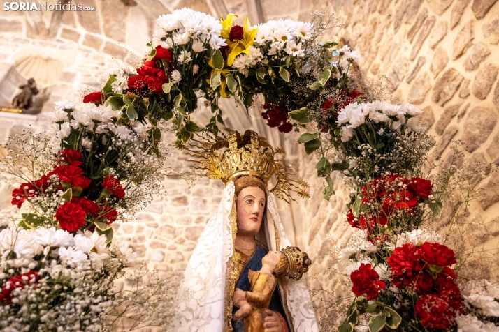 Romería de los Santos Nuevos./ Viksar Forografía