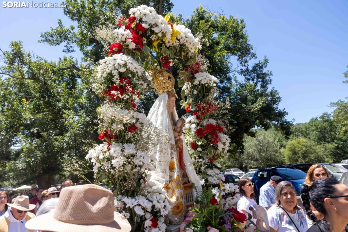Romería de los Santos Nuevos./ Viksar Forografía