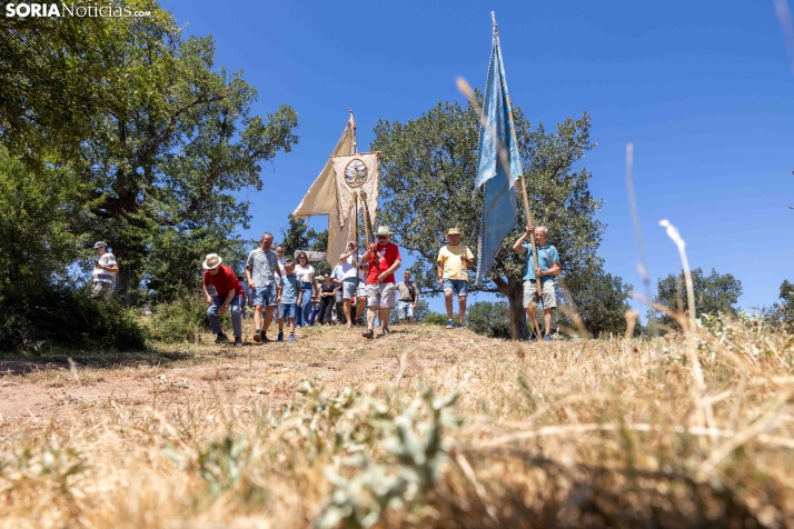 Romería de los Santos Nuevos./ Viksar Forografía