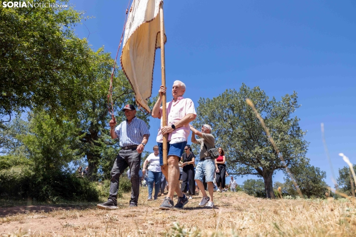Romería de los Santos Nuevos./ Viksar Forografía