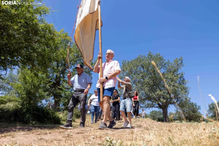 Romería de los Santos Nuevos./ Viksar Forografía