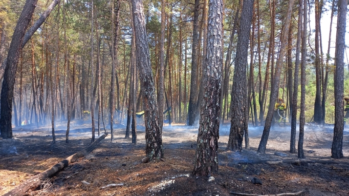 Evacuado un campamento juvenil en Navaleno a causa de un incendio
