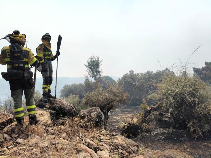 La BRIF de Lubia suma su esfuerzo a la extinción del mayor incendio forestal de España