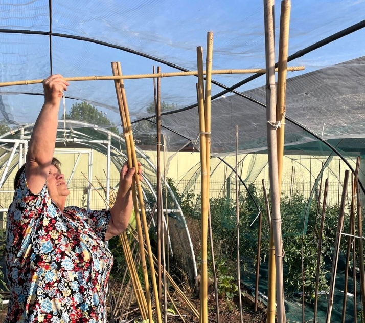 Mucho más que tomates, los huertos urbanos echan raíces en Soria