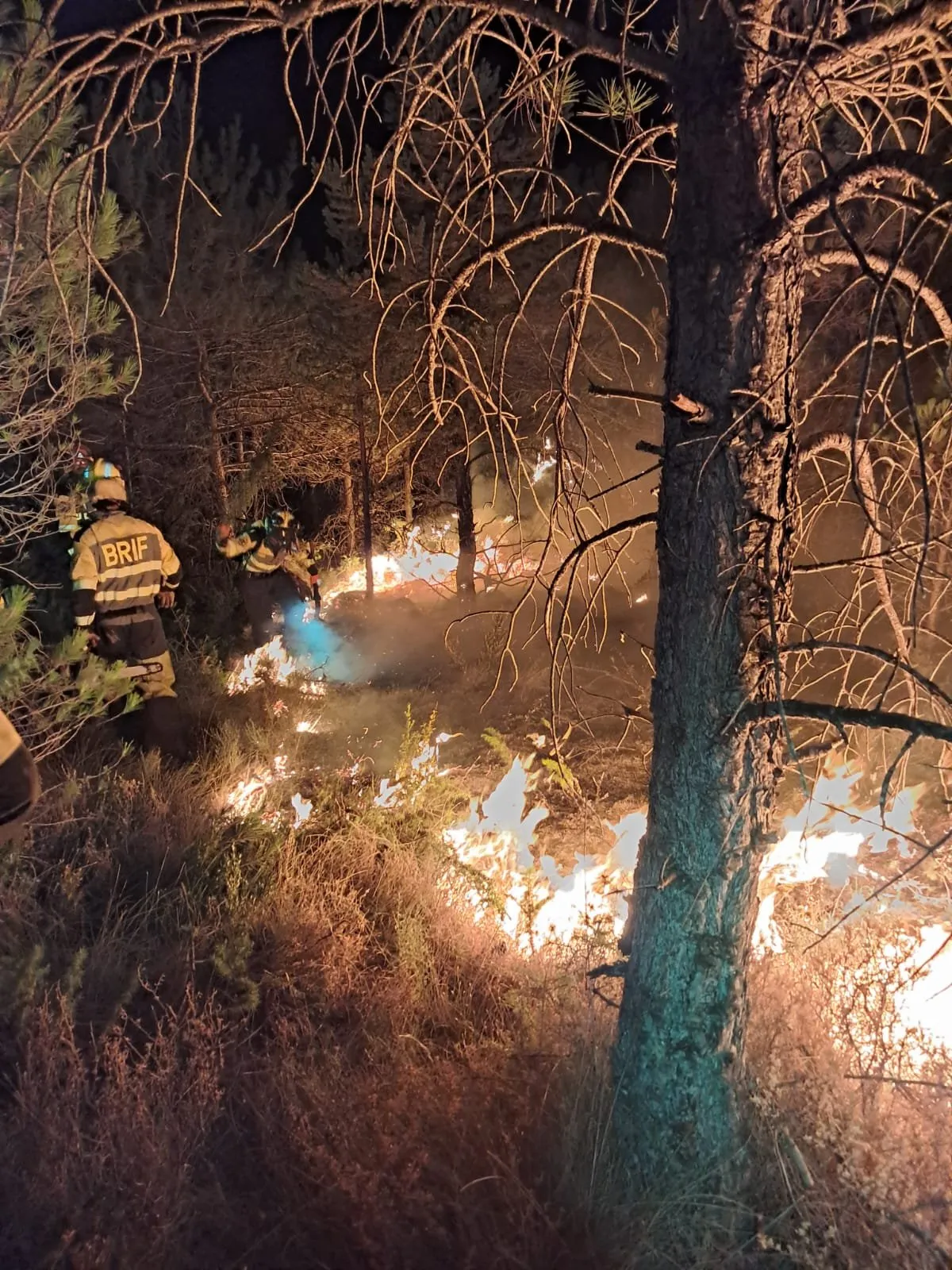 La BRIF de Lubia se retira a descansar tras una noche de trabajo en el incendio de Peñas de Riglos