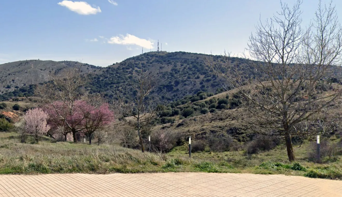 Autorizada la retirada del arbolado del Cerro de los Moros