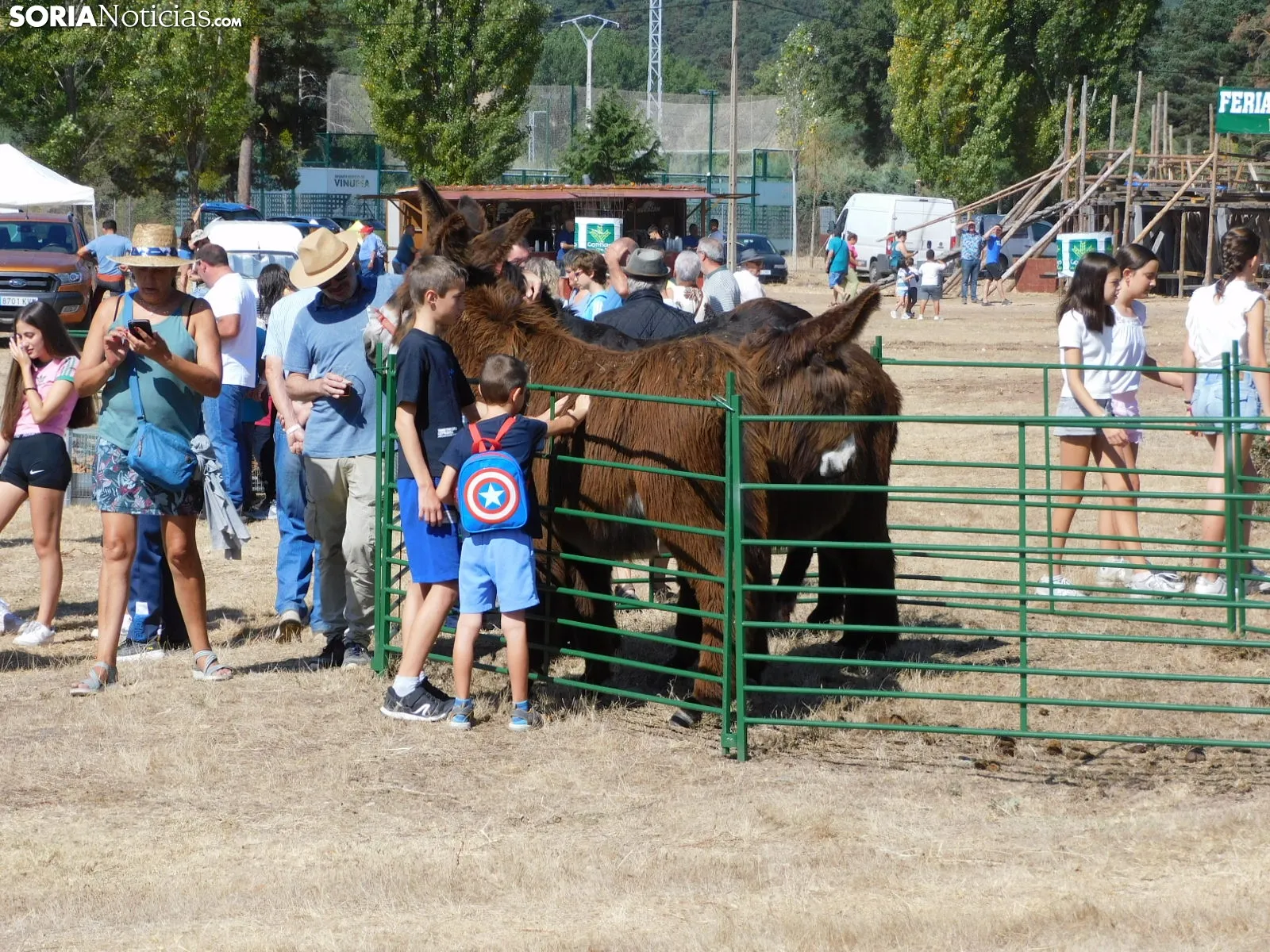 Vinuesa celebra la 25 edición de su Feria Ganadera: Rodeos y talleres artesanales