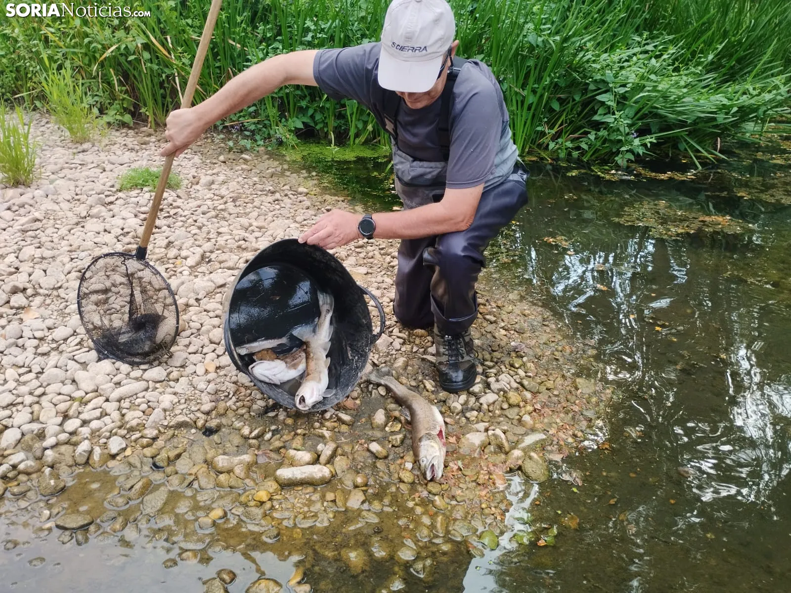 Imágenes cedidas por Río de la Vida