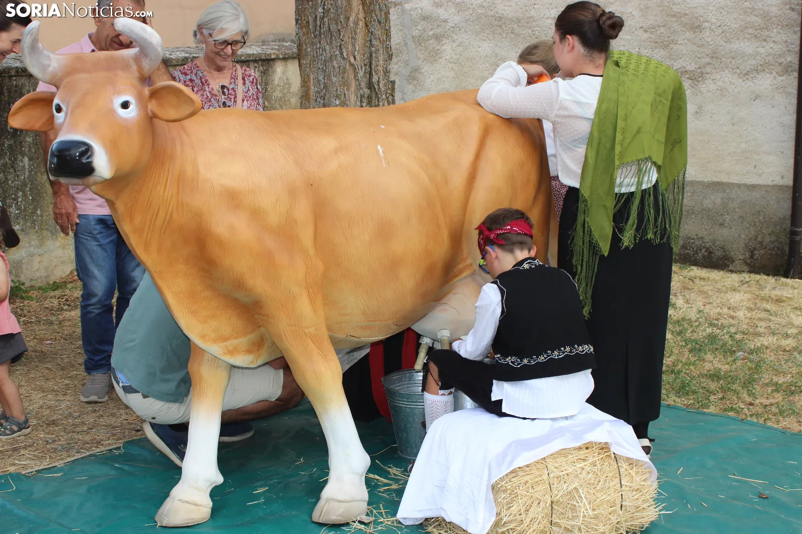 En imágenes: Valdeavellano de Tera vuelve a presumir de su mantequilla con su tradicional feria
