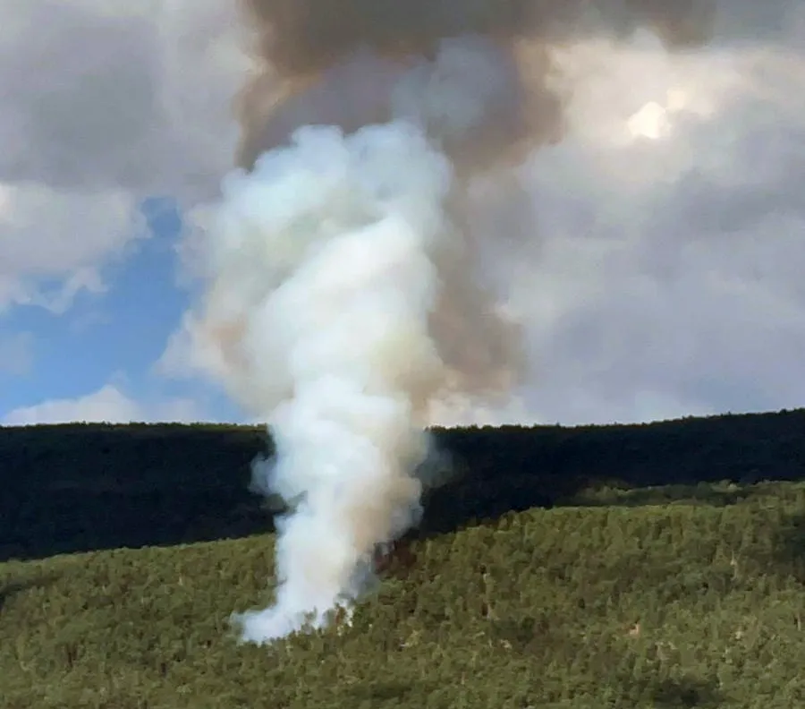 Los incendios intencionados son los más numerosos en Soria, pero los accidentes queman el 70% de la superficie afectada