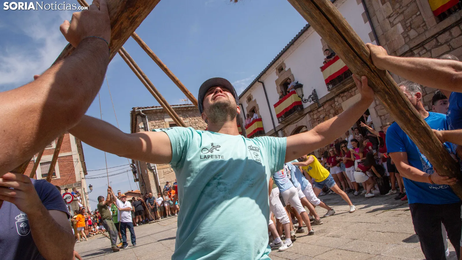 GALERÍA | Vinuesa alza sus mayos al cielo para dar comienzo a sus días grandes en honor a la Virgen del Pino