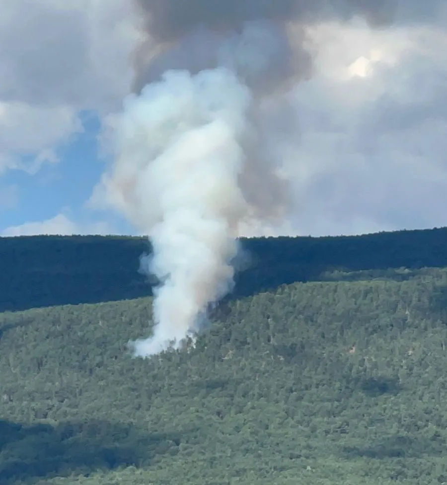 Imagenes del incendio de esta tarde en Vinuesa  