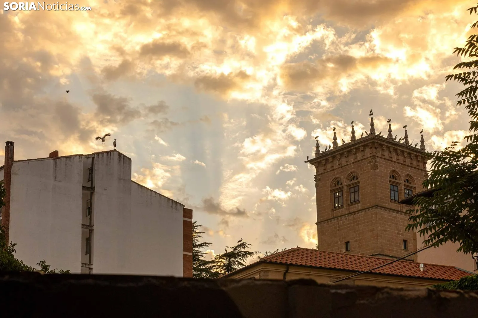 Del aviso naranja a las tormentas: Así será el domingo en Soria