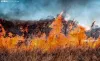 Foto 1 - Tres incendios activos en Matamala de Almaz&aacute;n, Fuentepinilla y Carabantes mientras se extingue otro en Villaciervos