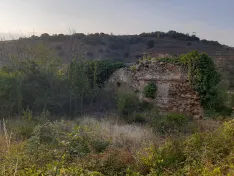 Foto 6 - Los voluntarios devuelven a Vozmediano la ermita de San Sebasti&aacute;n y una tradici&oacute;n perdida hace 120 a&ntilde;os
