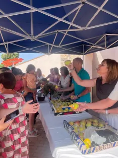 Foto 6 - &Oacute;lvega celebra el D&iacute;a de la Pera, una tradici&oacute;n centenaria