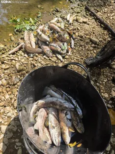Imágenes cedidas por Río de la Vida
