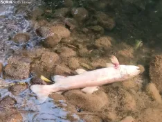 Imágenes cedidas por Río de la Vida