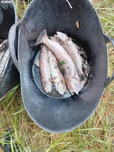Imágenes cedidas por Río de la Vida