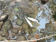 Imágenes cedidas por Río de la Vida