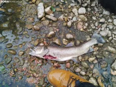 Imágenes cedidas por Río de la Vida
