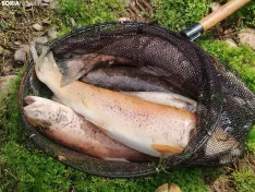 Imágenes cedidas por Río de la Vida
