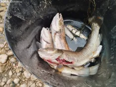 Imágenes cedidas por Río de la Vida
