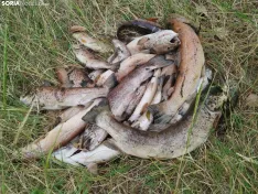 Imágenes cedidas por Río de la Vida