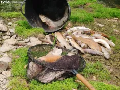 Imágenes cedidas por Río de la Vida