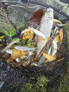 Imágenes cedidas por Río de la Vida