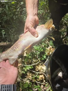 Imágenes cedidas por Río de la Vida