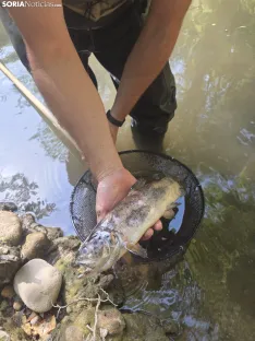 Imágenes cedidas por Río de la Vida