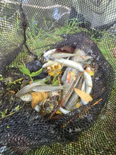 Imágenes cedidas por Río de la Vida