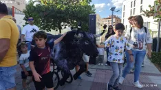 Foto 12 - Los carretones cierran las fiestas de Santa B&aacute;rbara