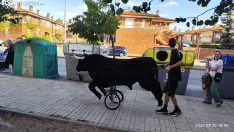 Foto 11 - Los carretones cierran las fiestas de Santa B&aacute;rbara