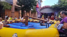 Foto 10 - Los carretones cierran las fiestas de Santa B&aacute;rbara