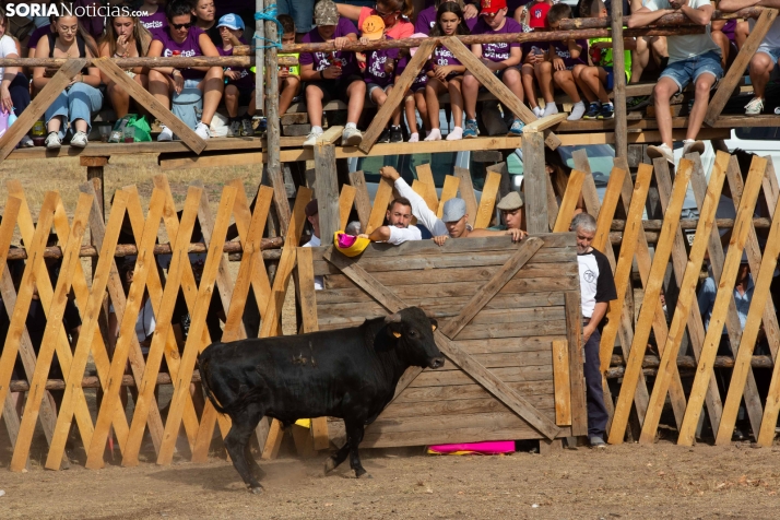 Becerrada de Vinuesa 2026